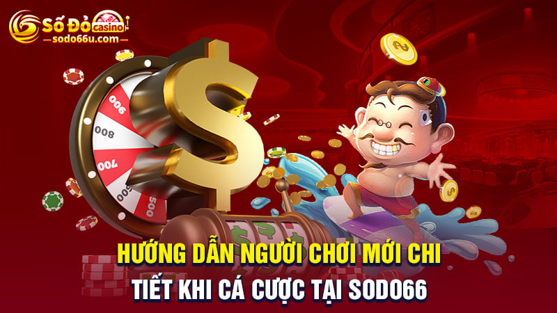 Hướng dẫn người chơi mới chi tiết khi cá cược tại SODO66