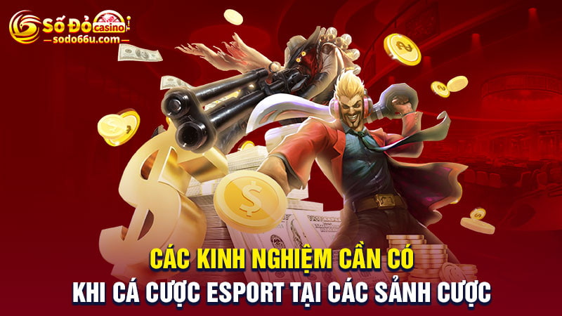 Kinh nghiệm cần có khi cá cược esport tại SODO66