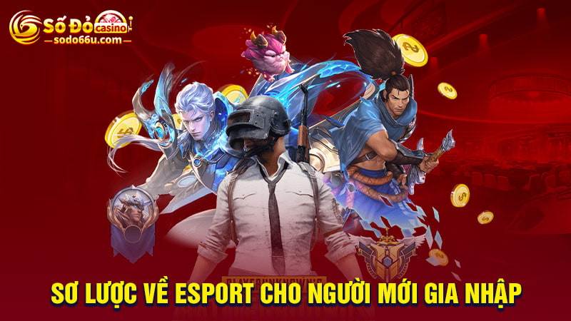 Sơ lược về Esport cho người mới gia nhập